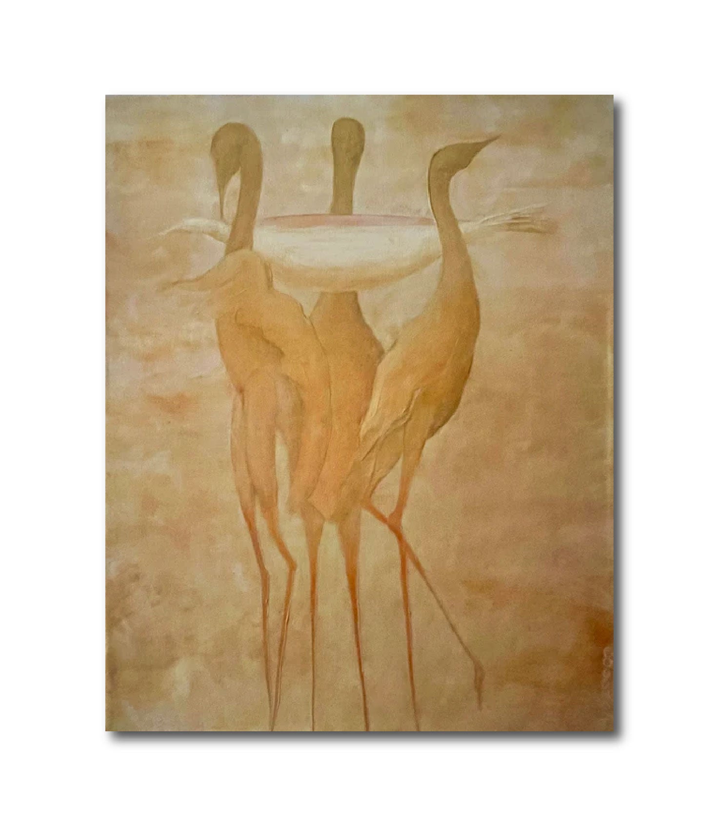 Oil 'PERIRRHANTERION, WHITE DOVE' - Oil on Canvas Laurie Goodhart