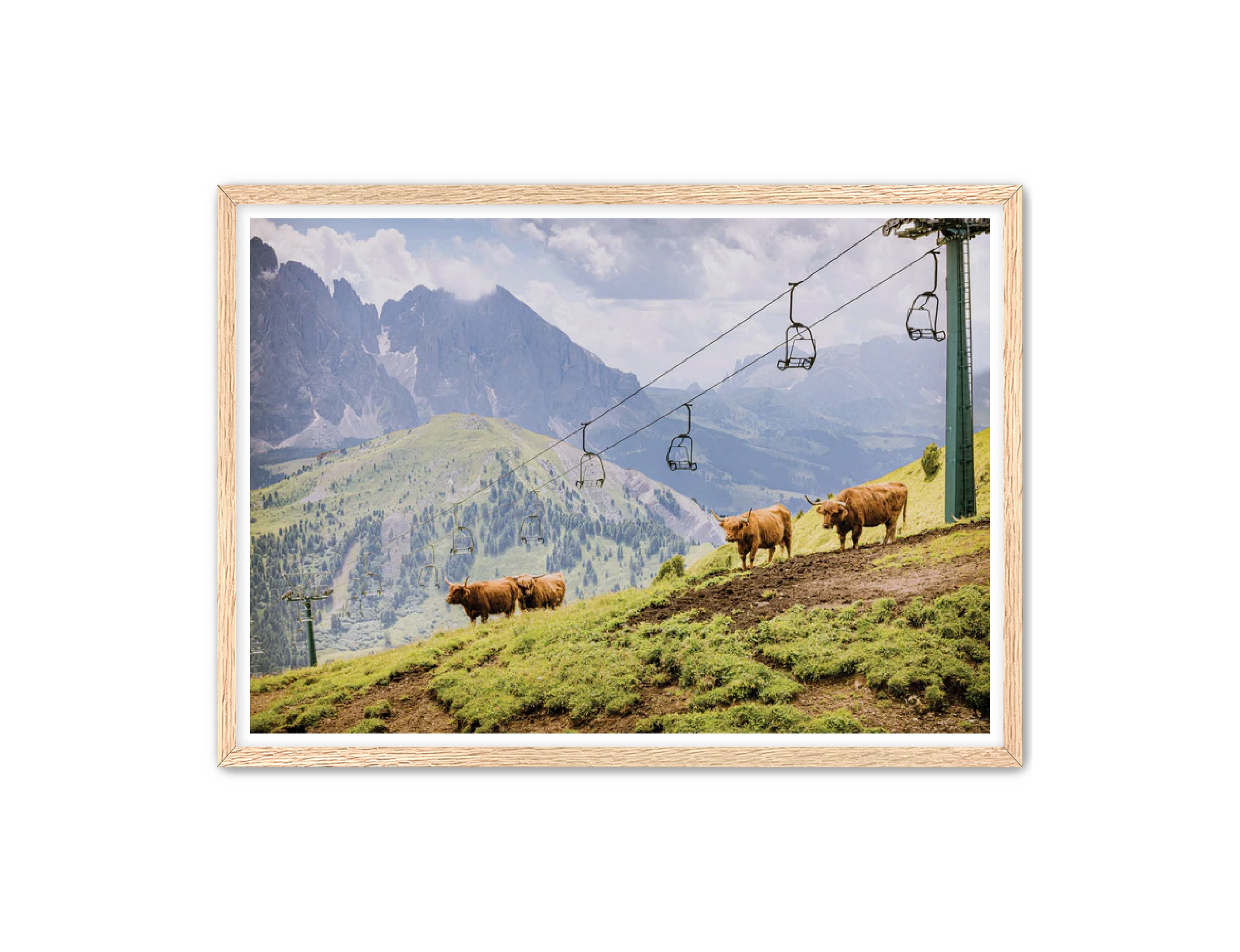 photography Prints 'HIGHLANDS ON THE HILL' Erin Rudzinski