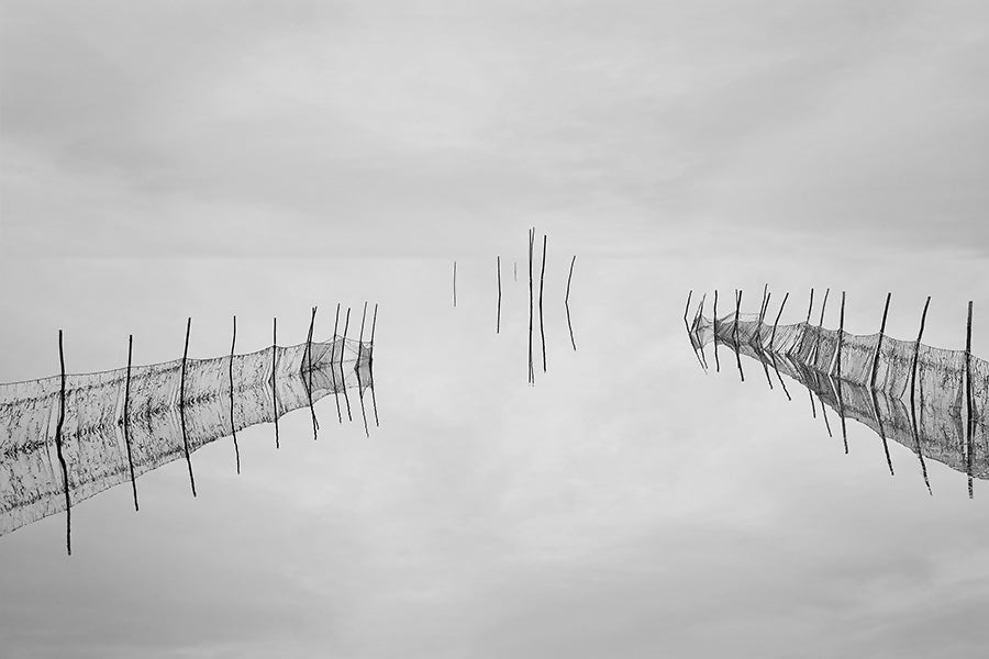 Reflections #6